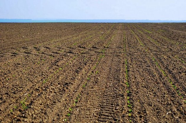 В МВФ напомнили о необходимости отмены моратория на продажу земли в Украине