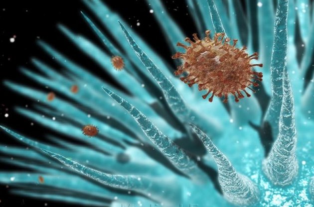 Вчені виявили новий вірус-гігант