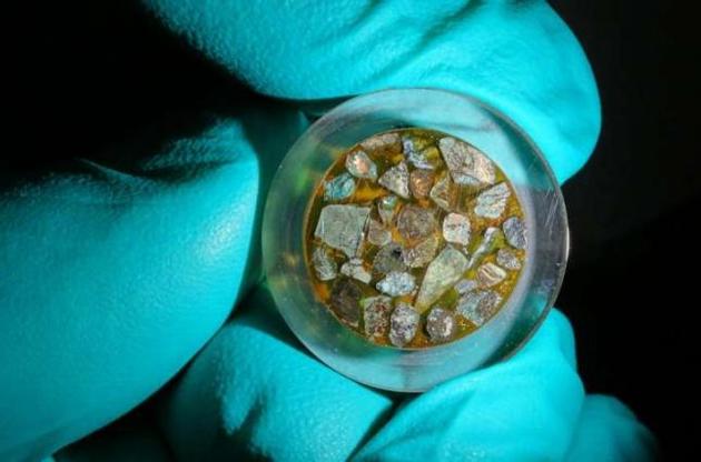 Вчені виявили сліди життєдіяльності мікробів під Маріанською западиною