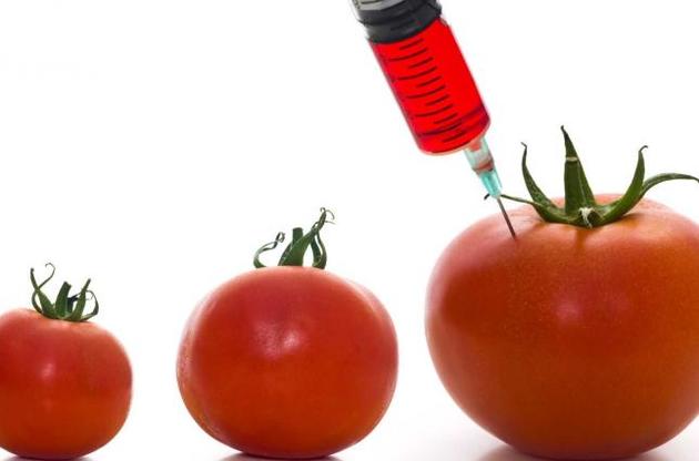 Ученые научились выращивать ГМ-овощи без косточек