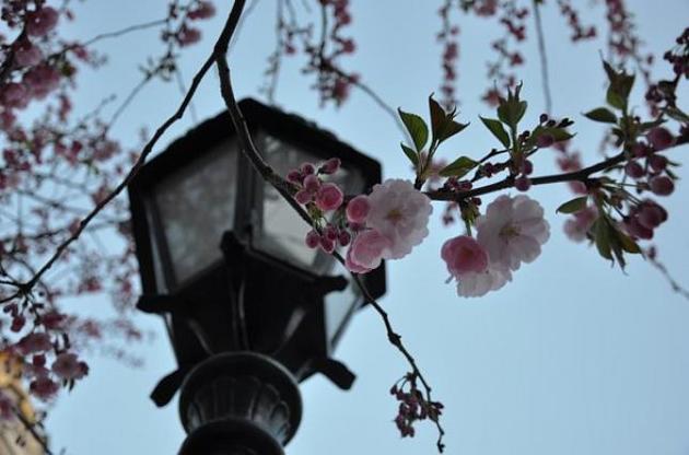 На выходных станет теплее (наверное)