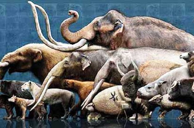 Представники мегафауны вимерли через зміни в навколишньому середовищі