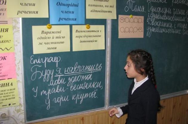"Мертві бджоли"...  Об обновлении школьных программ по украинскому языку — с болью