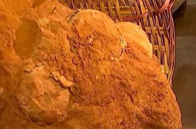 Ученые нашли пять яиц динозавров