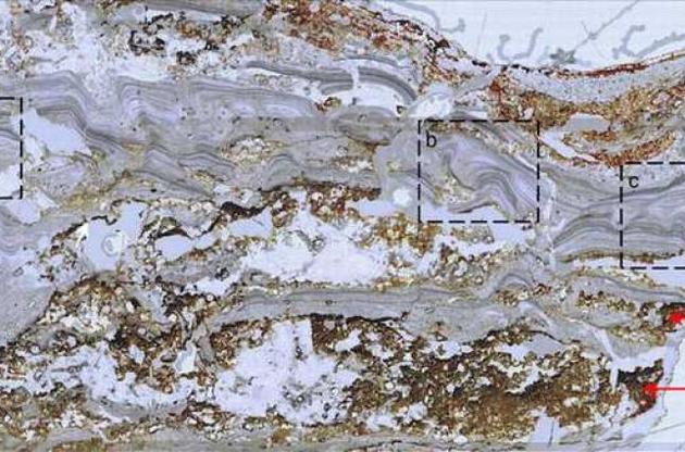 Населені гарячі джерела з&#039;явилися раніше, ніж вважали вчені