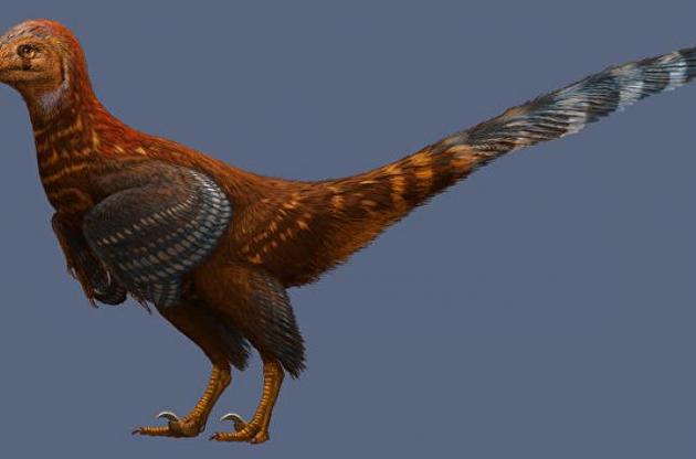 Палеонтологи обнаружили в Китае динозавра с "птичьими" перьями