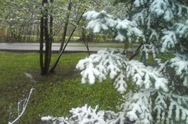 Синоптики не виключають нові травневі снігопади
