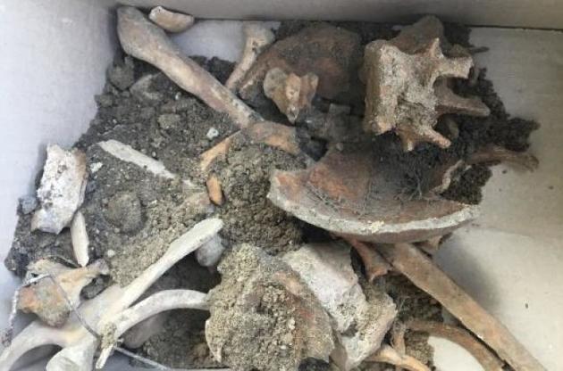 Во Львове нашли массовое захоронение