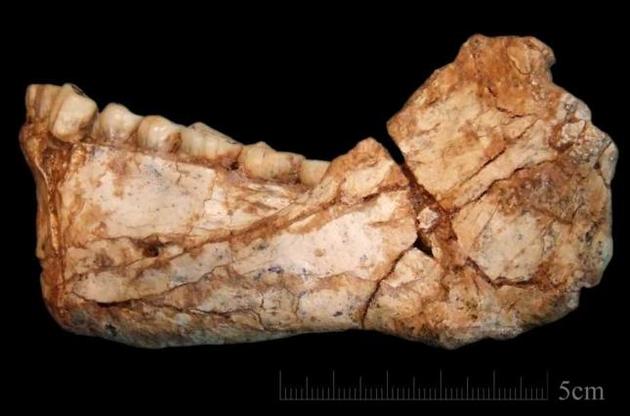 Ученые нашли останки современных людей возрастом 300 тысяч лет