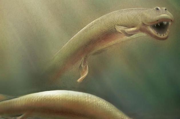 Ученые обнаружили "потерянное звено эволюции" между рыбами и сухопутными животными