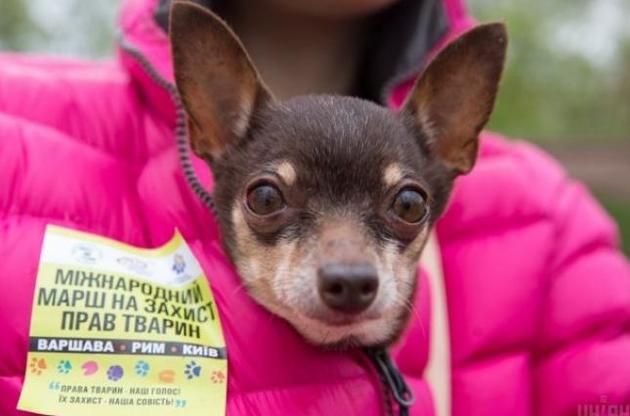 Права животных в Украине теперь защищены законом