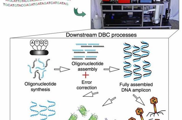 Генетики создали принтер для печати синтетических форм жизни