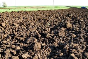 Сельхозземля: консолидация или латифундизация?