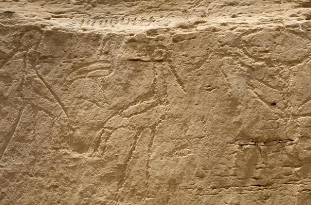 Археологи виявили в Єгипті найдавніші "монументальні" ієрогліфи