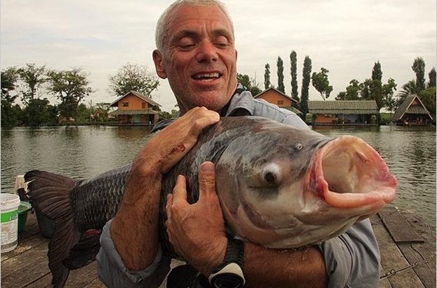 Поймали, сфотографировали, отпустили...