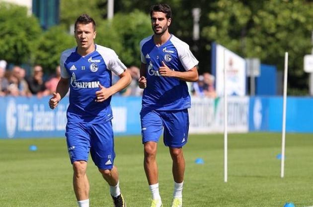 Коноплянка (слева) работает в общей группе