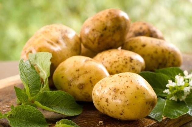 Жителі Північної Америки їли картоплю ще 10 тисяч років тому - вчені