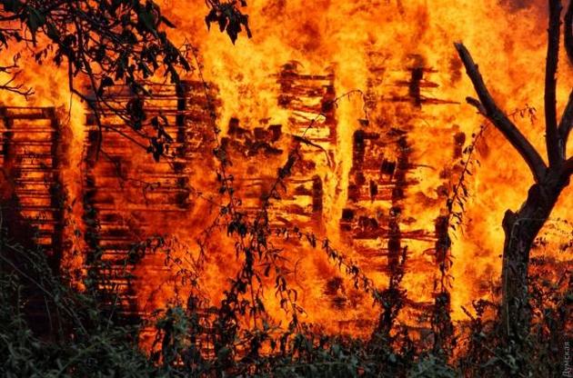 Масштабные лесные пожары в Португалии могли возникнуть из-за умышленного поджога