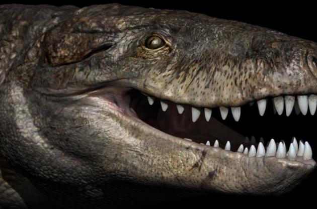 Рептилия питалась динозаврами