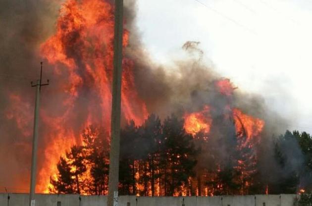 Поблизу Ніцци евакуюють жителів через лісові пожежі