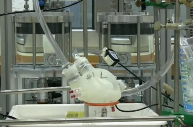 Вчені виготовили м'яке серце за допомогою 3D-принтера