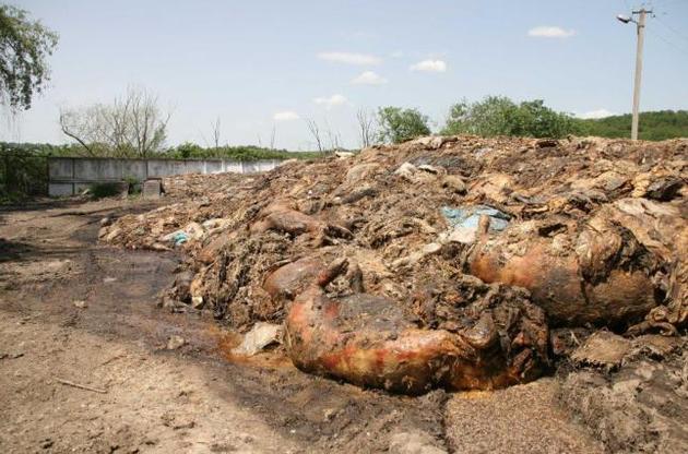 Свалка отходов животных на ветсанзаводе под Тернополем может спровоцировать экологическое бедствие