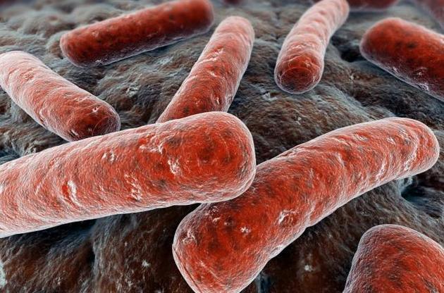 Морские губки помогли ученым найти лекарство от "спящего" туберкулеза