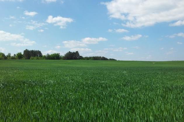 Изначально продажа земли юрлицам не планировалась.