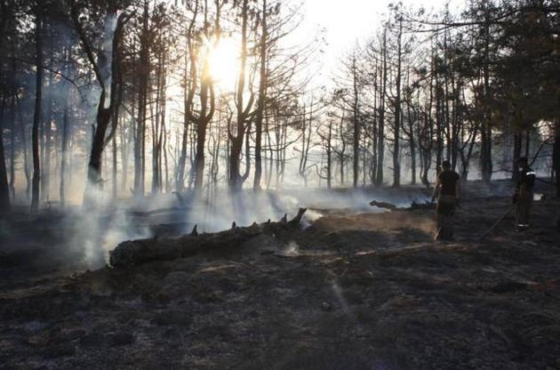 Для тушения лесного пожара на Харьковщине в небо подняли вертолет
