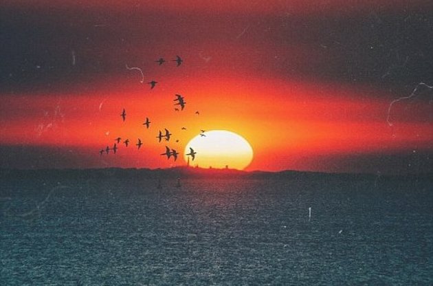 В Австралії цілий штат перейде на сонячне електропостачання