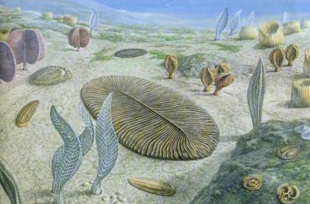 Ученые раскрыли тайну появления первых животных Земли