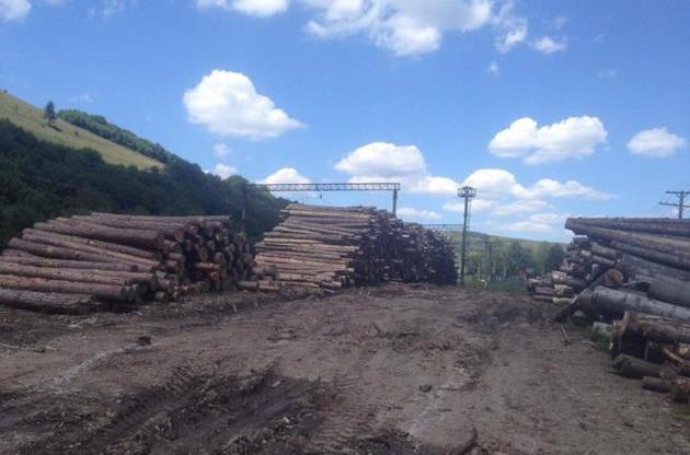 На Закарпатье за год обнаружено незаконных вырубок леса на шесть млн гривень