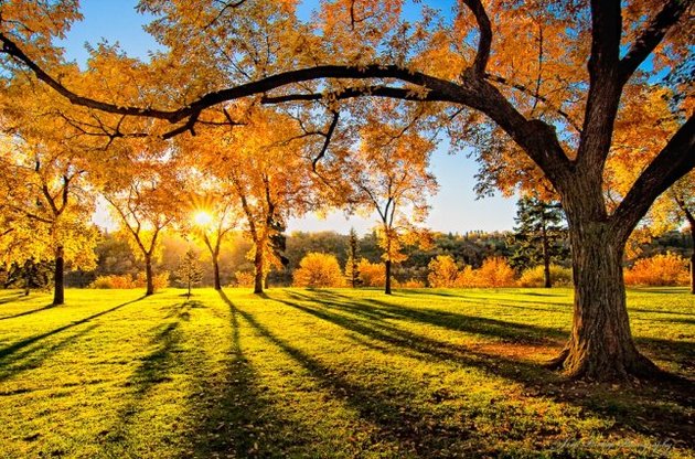 Тепла погода збережеться до середини наступного тижня