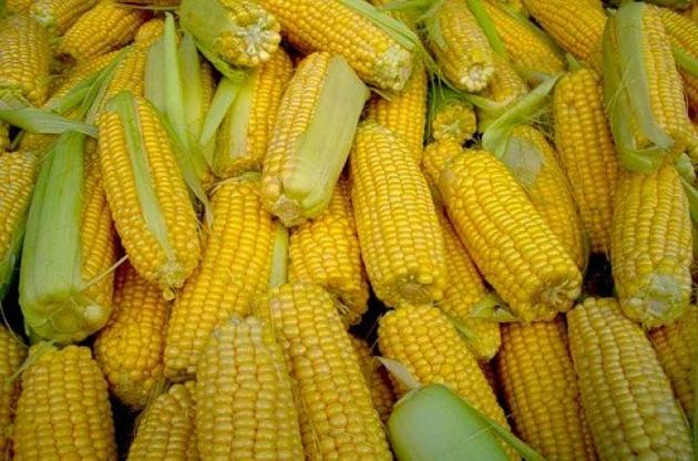 ЄС ввів квоти на імпорт кукурудзи, жита та сорго