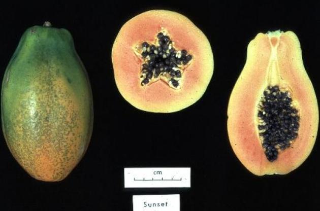 В США сто человек заболели сальмонеллезом после употребления папайи
