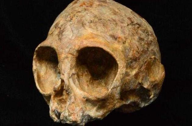 Дитинча мавпи мешкало на Землі 13 мільйонів років тому