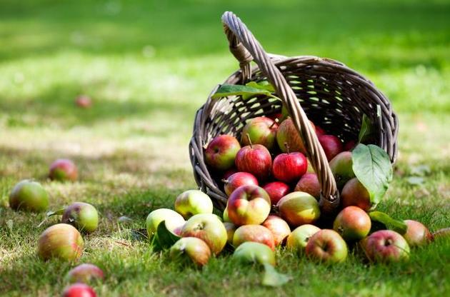 Август:  Яблочный Спас