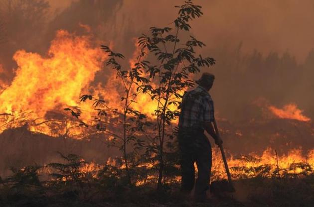 Греция запросила помощь ЕС в борьбе с лесными пожарами