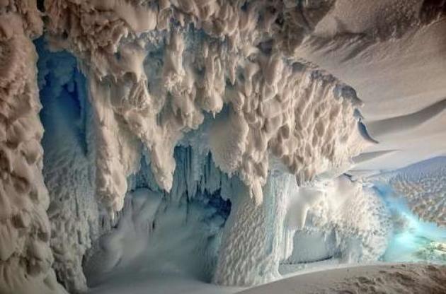 В пещерах Антарктиды скрываются неизвестные науке виды живых существ – ученые