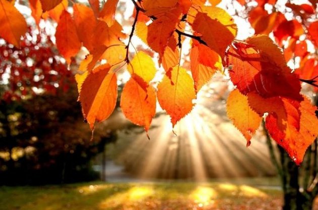 У неділю синоптики прогнозують дощ