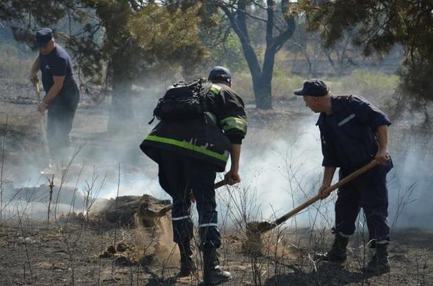 На Днепропетровщине ликвидировали лесной пожар площадью 8 га