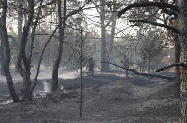 Поліція затримала підозрюваних у підпалі лісу