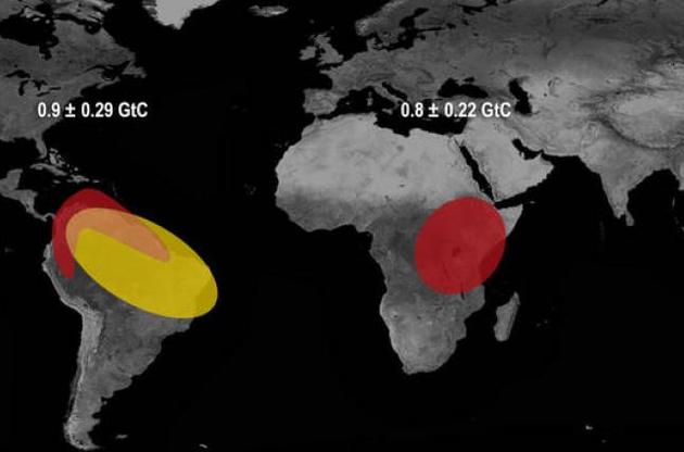 У підвищенні вмісту вуглекислого газу в атмосфері винні тропічні регіони планети