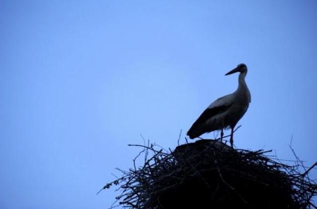 Украинцы заметили парниковый эффект и изменение климата