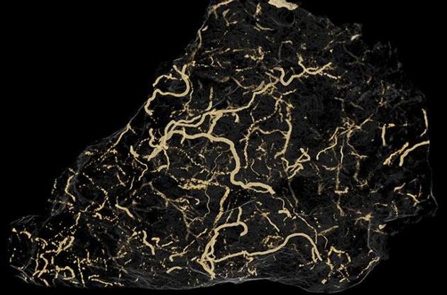 Організм мешкав на Землі до кембрійського вибуху