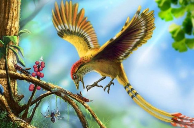 Вчені дізналися, коли птахи навчилися літати