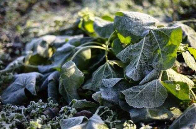 В Україну йде холодне повітря з дикого краю