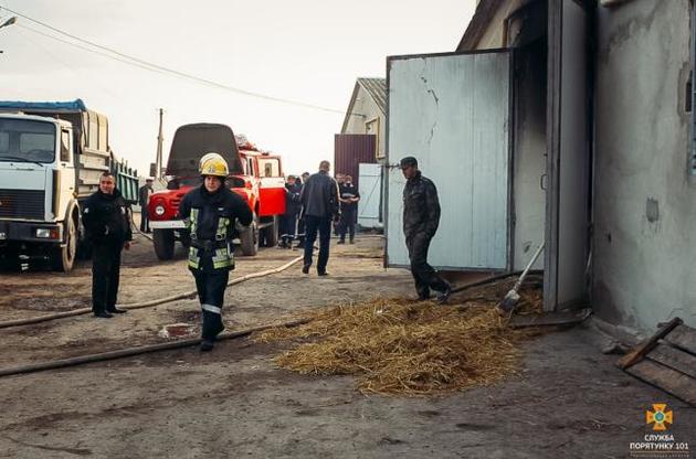 При пожежі в Тернопільській області згоріли майже 30 тисяч курчат