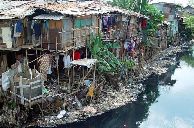 В нетрях живуть сотні мільйонів людей