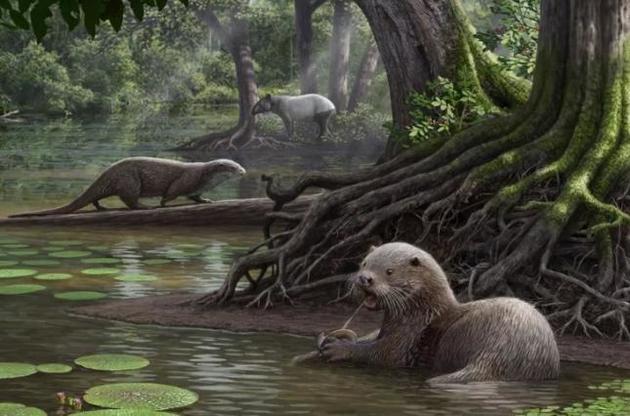 Видра була домінуючим хижаком у своїй екосистемі